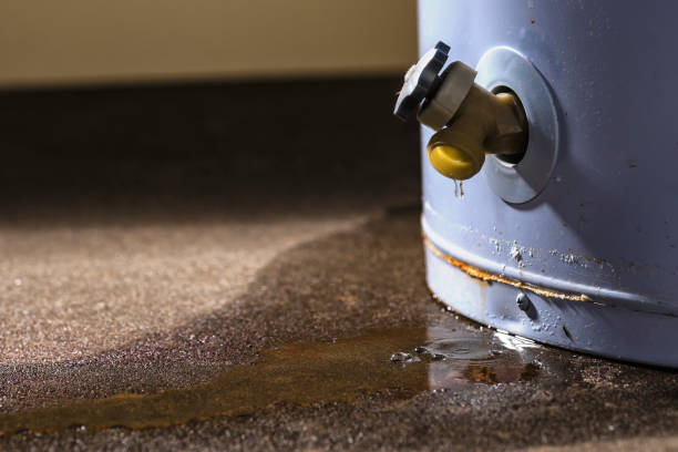 Best Water damage restoration services  in Plainview, MN