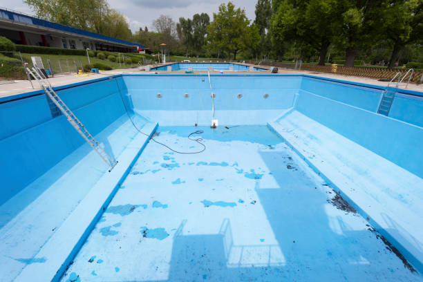 Best Water damage repair service  in Plainview, MN