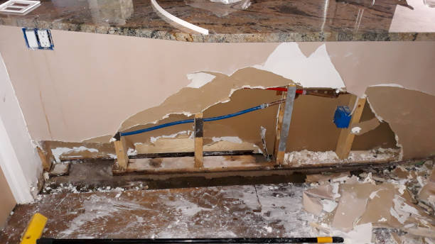 Best Water damage cleanup near me  in Plainview, MN