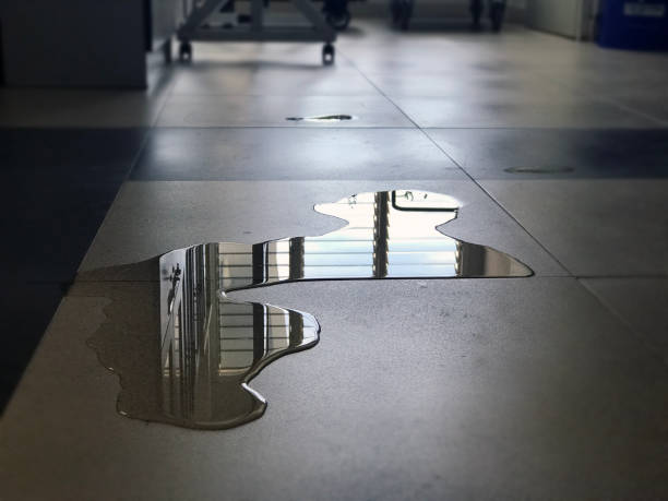 Best Water damage restoration specialists  in Plainview, MN