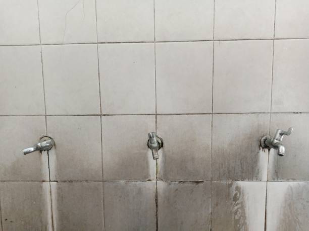 Best Emergency water damage restoration  in Plainview, MN