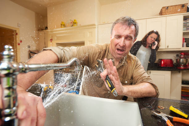 Best Basement water damage restoration  in Plainview, MN